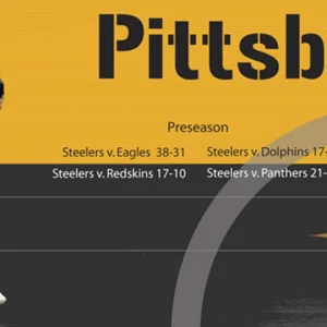 steelers project plate 1