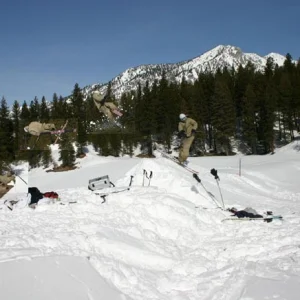 another Bio 7?? (sequence)