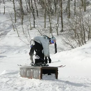 11yrs Guerilla steeze