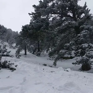 How send is to much send 