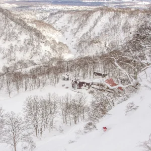 Ski okay!