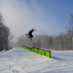 Trajectory of a Disaster Japan