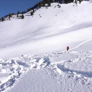 First double backflip try