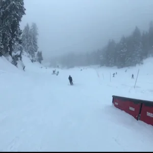 Seymour 2018 first newshoolers edit