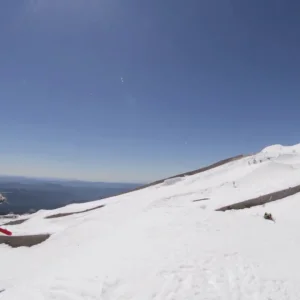 Windells Full Park - Jonah Williams