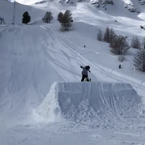 Dub bio/misty 10 trucker 