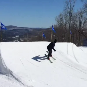 Wrist Twisted - John Greenacre Robinson