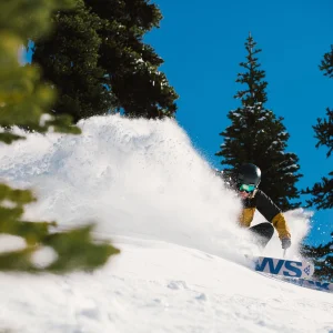 Dodging Trees