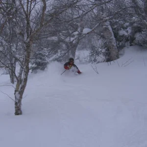 Waist deep in the goods.