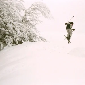 Buddys First 360 enhanced