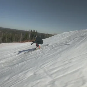 Springtime pt.4 - Sappee