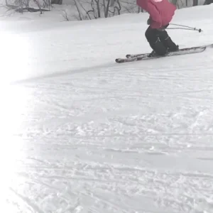 Ivan Bronson Szn 2018