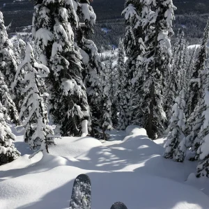 Views From The Horse VIII