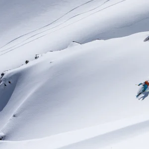 Blue Bird and Pow Chilean Style 