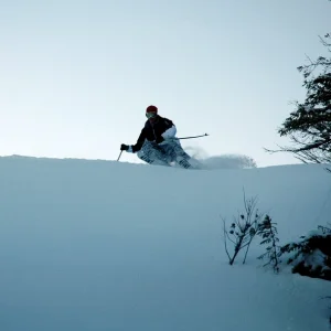 Cruisin fresh pow pow