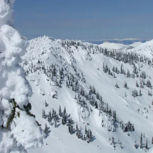 So many lines...so little time