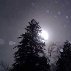 Pic I took on a trip up north, yes thats the moon