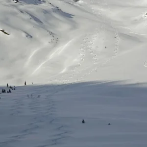 Our tracks on a long run