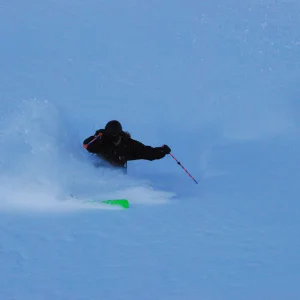 Freshies