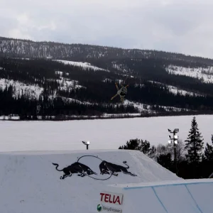 JOI, Dont know but i think its tim