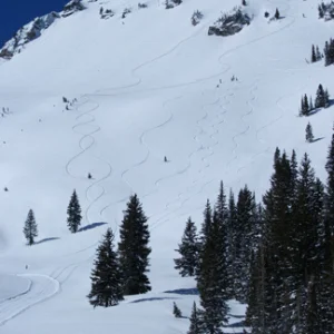 smooth tracks, ours big ones from the top