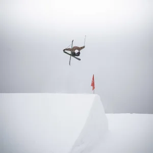 Into the Mist