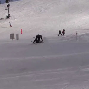 GOOD ENOUGH//LOT LIZARDS//VOL.1