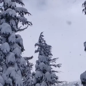Red Lake CA Backcountry Kicker
