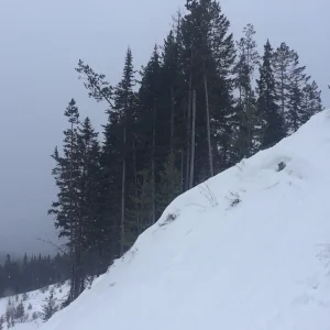 Double backflip fail