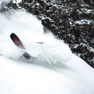 Gotta get those face shots somehow