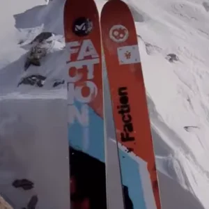 Does anyone know the name/year of these skis???