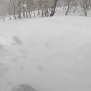 Start of a powder day