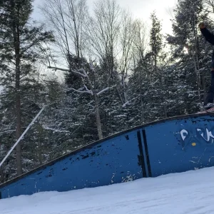 Whiteface Rainbow Rail
