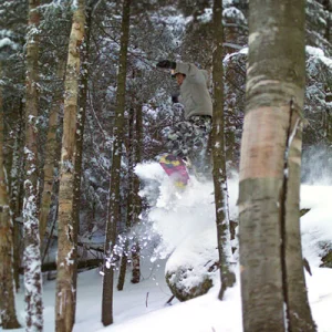 In the birches at Whiteface
