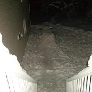 table top off the deck