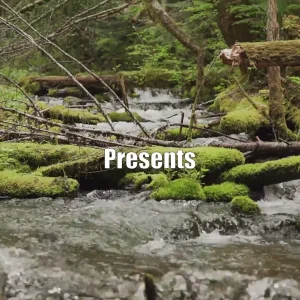 A Summer at Mt. Hood