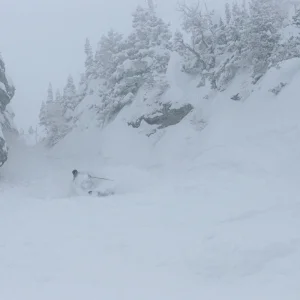 bridger bowl jaws patrol