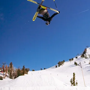 Sean Jordan