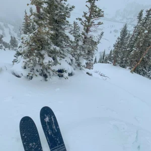 Alta+Sakana+MayPow=Profit?