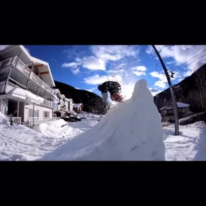 All the pretty bull shit 