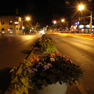 Flower Pots at Night