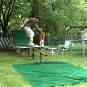 Summer time backyard