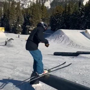 Brian Gardiner Superunknown 2020 Entry