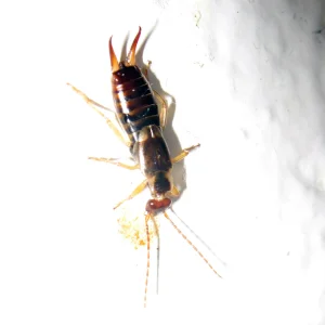 Such a cute little guy...