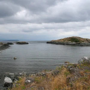 What do you call a seagull that flys over the bay?