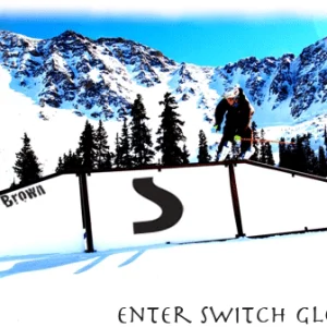 Switch Gloves Cover Page