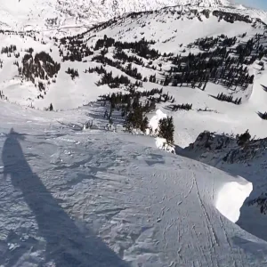 Stay Alive || 2020 Pre-COVID