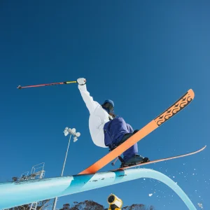 Tailpress