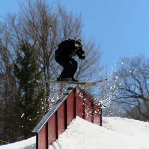 Main Park Rail VT Open