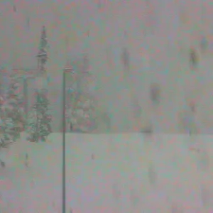 Much Love from Colorado